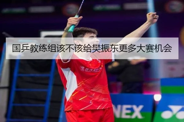 国乒教练组该不该给樊振东更多大赛机会